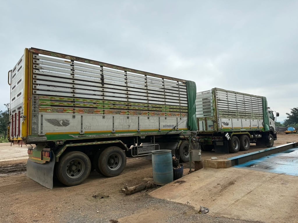 ISUZU FXZ 360แรงม้า รถบรรทุก 10ล้อ พ่วงแม่ลูก ปี2023 ISUZU FXZ 360แรงม้า รถบรรทุก 10ล้อ พ่วงแม่ลูก ปี2023