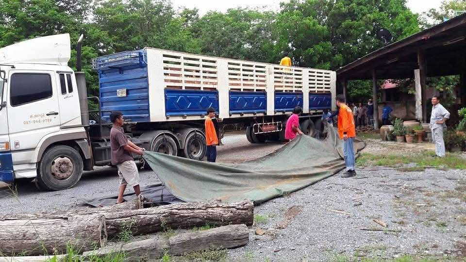 รถบรรทุกหัว ลากใช้งานได้ปกติ  ใช้งานดีมาก สนใจติดต่อตรง คุณ เมย์ 0917197178