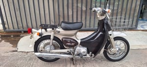 ขาย honda c50 little cub 14 ขาย honda c50 little cub 14