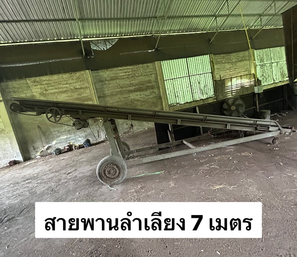 สายพานลำเลียง