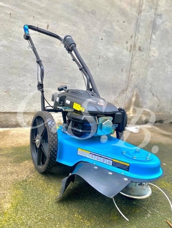 รถเข็นตัดหญ้า Lawn Mower