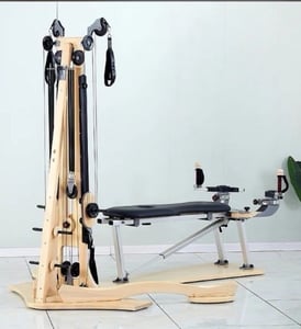 ไจโรโทนิค GYROTONIC