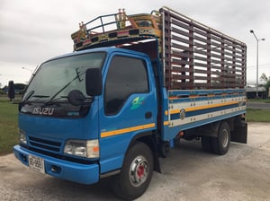 ขายรถ6ล้อ กระบะบรรทุก4.30เมตร NPR 135แรง เกียร์ร็อก แอร์เย็นฉ่ำ 