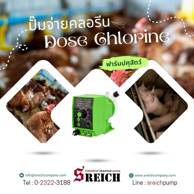 การปรับสภาพน้ำ บำบัดน้ำในฟาร์ม ก่อนใช้จะทำให้สัตว์เลี้ยงมีคุณภาพชีวิตที่ดีขึ้น การปรับสภาพน้ำ บำบัดน้ำในฟาร์ม ก่อนใช้จะทำให้สัตว์เลี้ยงมีคุณภาพชีวิตที่ดีขึ้น
