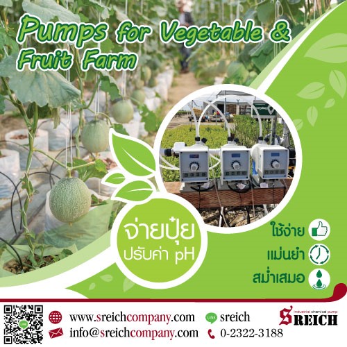 Dosing pump ปั๊มจ่ายพ่นปุ๋ย เข้าหัวสเปร์ย เพื่อการฉีดพ่นปุ๋ยได้ทั่วทั้งฟาร์ม 