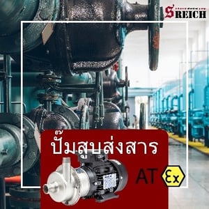 การจัดการน้ำยาชุบอย่างปลอดภัยและมีประสิทธิภาพกับเอส ไรคส์ S Reich การจัดการน้ำยาชุบอย่างปลอดภัยและมีประสิทธิภาพกับเอส ไรคส์ S Reich