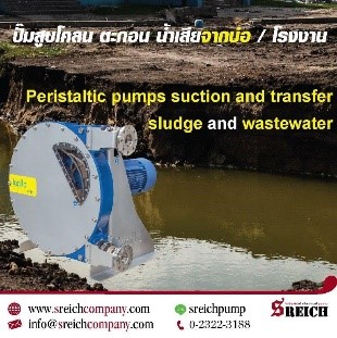 เครื่องสูบส่งน้ำเสีย โคลน ตะกอน เพื่อส่งเข้าเครื่องรีดตะกอน เครื่องสูบส่งน้ำเสีย โคลน ตะกอน เพื่อส่งเข้าเครื่องรีดตะกอน