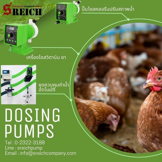 ปั๊มฟีดวิตามิน เติมวัคซีนจุลินทรีย์ จ่ายสารละลาย โดสคลอรีนปรับสภาพน้ำ สำหรับฟาร์มปศุสัตว์ ปั๊มฟีดวิตามิน เติมวัคซีนจุลินทรีย์ จ่ายสารละลาย โดสคลอรีนปรับสภาพน้ำ สำหรับฟาร์มปศุสัตว์