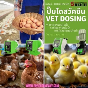 การปรับสภาพน้ำในฟาร์ม จ่ายสารละลาย เติมคลอรีน เติมวิตามิน ด้วยปั๊มยุโรป การปรับสภาพน้ำในฟาร์ม จ่ายสารละลาย เติมคลอรีน เติมวิตามิน ด้วยปั๊มยุโรป