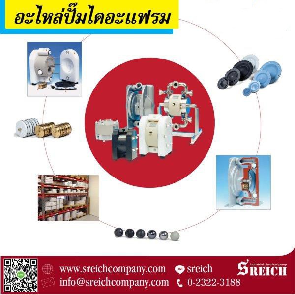 ขายอะไหล่ปั๊มไดอะแฟรมยุโรป spare part Diaphragm Pump ขายอะไหล่ปั๊มไดอะแฟรมยุโรป spare part Diaphragm Pump