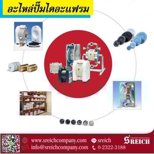 ขายอะไหล่ปั๊มไดอะแฟรมยุโรป spare part Diaphragm Pump ขายอะไหล่ปั๊มไดอะแฟรมยุโรป spare part Diaphragm Pump