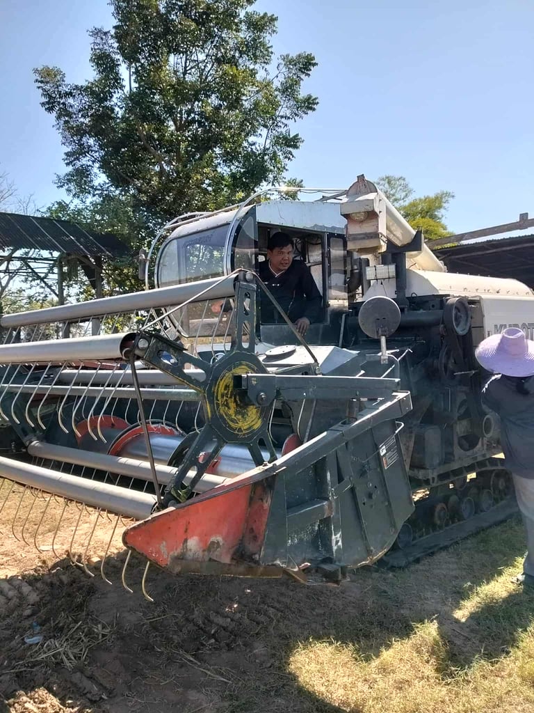 ขายรถเกี่ยวข้าวDC95ปี55