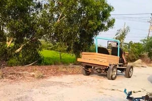 ขายรถการเกษตร ีกระบะบรรทุก พร้อมเครื่องคูโบต้า ใช้เป็นพาหนะ ใช้ ขายรถการเกษตร ีกระบะบรรทุก พร้อมเครื่องคูโบต้า ใช้เป็นพาหนะ ใช้