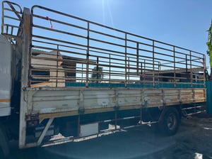 ราคา59000บาทขายกระบะเหล็กรถ6ล้ครัชซีกว้าง 87ซ.ม. กระบะยาว 7.35ม.กว้าง 2.50ม.สูง 2.05ม. สนใจติดต่คุณเยี่ยม0911464263