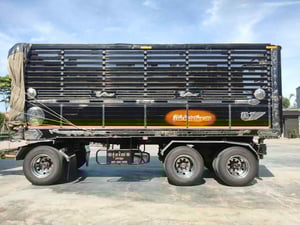 พ่วงแม่ลูกดำ