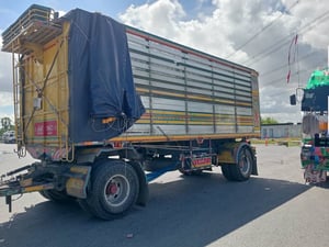 พ่วงแม่ลูกดำ พ่วงแม่ลูกดำ