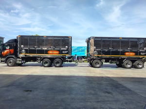 พ่วงแม่ลูกดำ