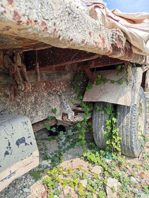 ขายซากรถ ISUZU สภาพตามรูป รถบรรทุก 6ล้อ ดั้มพ์