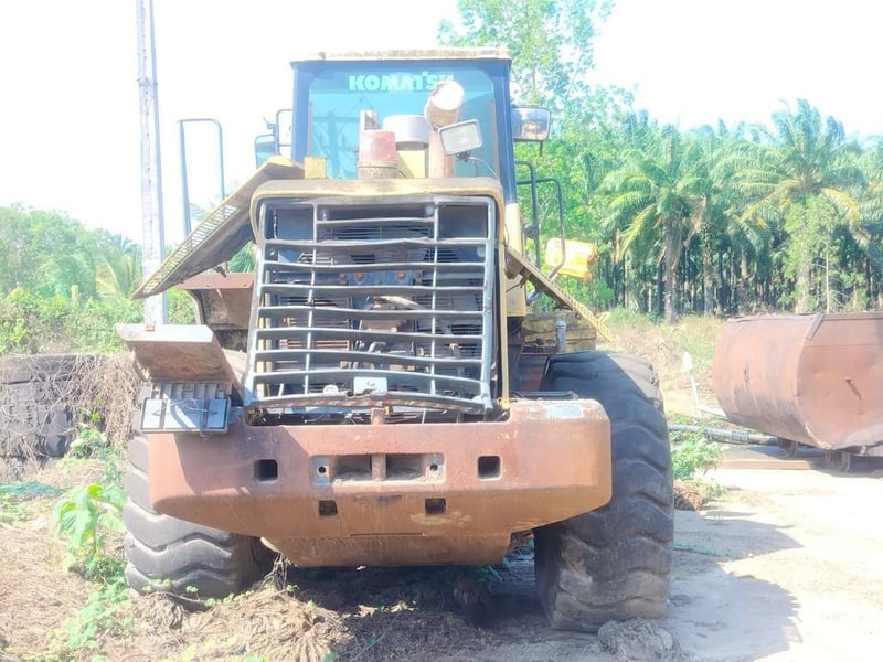 ทุกอย่างดีหมด แต่ขาดกำลัง 