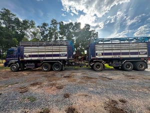จดปี 61 ขายรถพ่วง HINO FM1AN1D-SHT หางพ่วงดัมพ์ SHK-303-FD-650 จดปี 61 ขายรถพ่วง HINO FM1AN1D-SHT หางพ่วงดัมพ์ SHK-303-FD-650