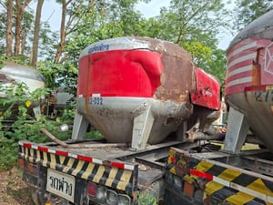 ขายหางเต้าปูน