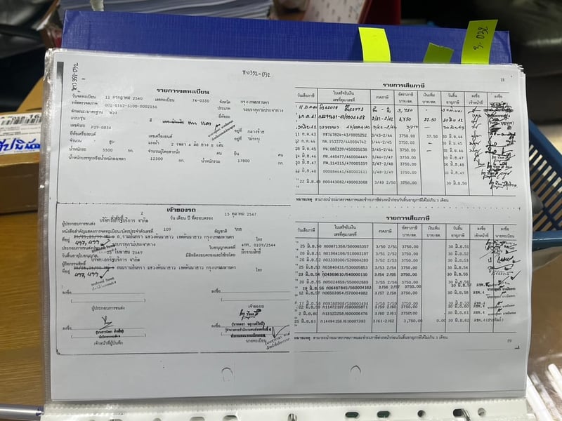 ขายหางเต้าปูน