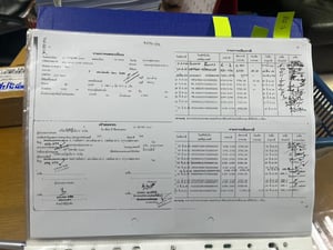 ขายหางเต้าปูน