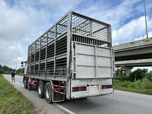 HINO  FL1A 344hp ปี 66หน้าขาว ไมล์น้อย 158,000 km. #รถคอกหมู คอกอู่ สมาน #LEK 977