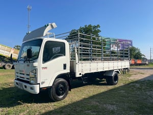 ISUZU NQR 175แรงม้า รถบรรทุก 6ล้อ กระบะเหล็ก ปี2012