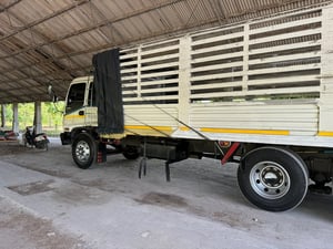 6 ล้อ  ISUZU FTR33  ปี 2539 🤩 ราคา 390,000 บาท ขายถูกๆ พร้อมใช้งาน 