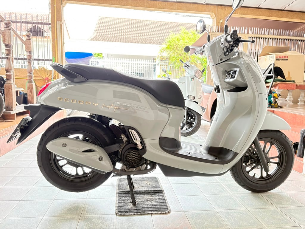 Scoopy Prestige มีสมุดคู่มือ มีรับประกัน รถมือเดียว ใช้งานน้อย สภาพใสกริ๊บ ออกง่าย ไม่ต้องค้ำ วิ่ง5000 ปลายปี67