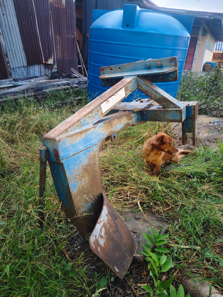 ผานขุดมัน ของFORD ผานขุดมัน ของFORD