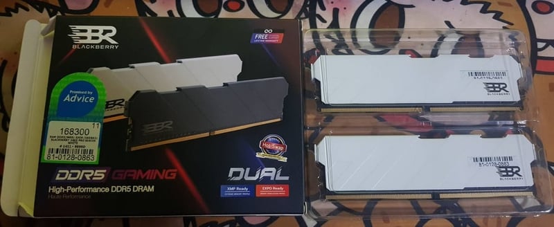 RAM DDR5(5600) 32GB RAM DDR5(5600) 32GB