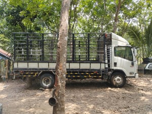 NPR 150 ปี 53 ยาว 5 เมตร