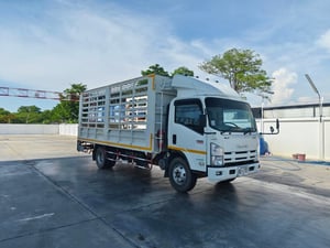 ISUZU NQR 175แรง ยาว 5.5 ปี 58 ISUZU NQR 175แรง ยาว 5.5 ปี 58