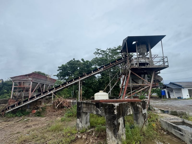 แพล้นปูนครึ่งคิว