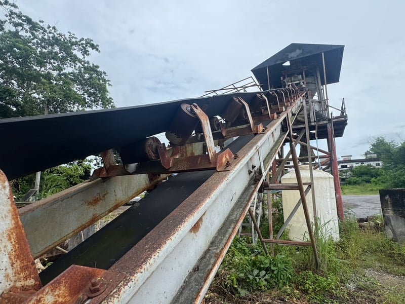 แพล้นปูนครึ่งคิว