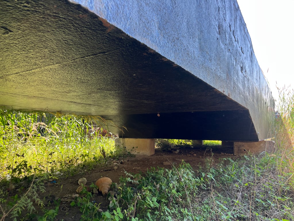 โป๊ะแมคโคร ขนาด 20 ตัน มี 2 ช้าง