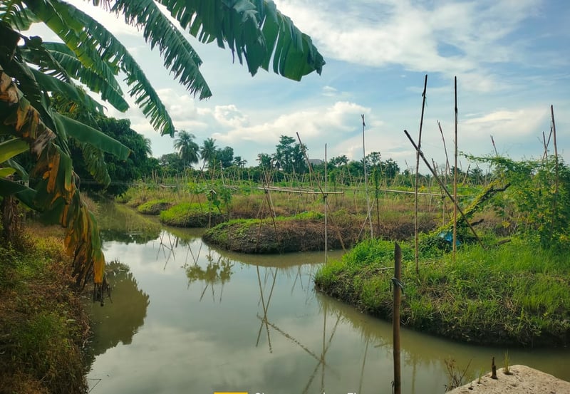 ที่ดินสวยราคาถูก