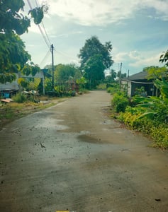 ที่ดินสวยราคาถูก