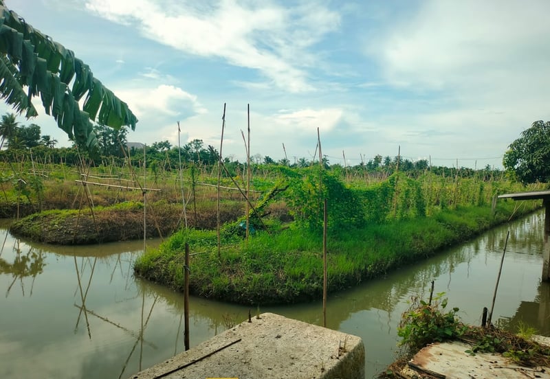 ที่ดินสวยราคาถูก