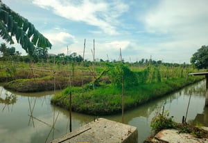 ที่ดินสวยราคาถูก