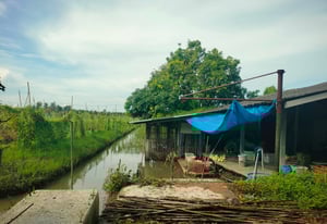 ที่ดินสวยราคาถูก