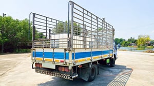 รถ6ล้อคอก ISUZU NPR 120 แรงม้า 