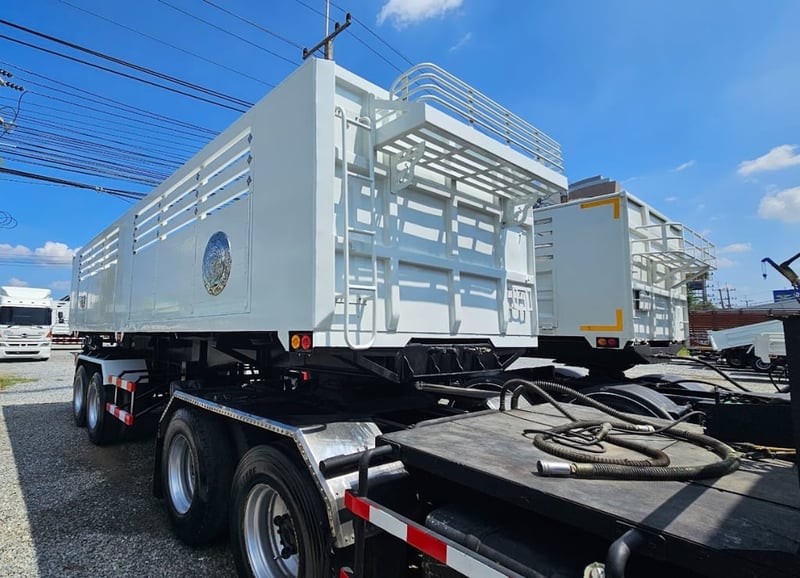 หางเซมิดัมพ์ ปี 2560