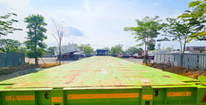 หางพื้นเรียบ พนัส หางพื้นเรียบ พนัส