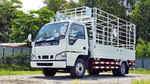 6ล้อคอก ISUZU NKR 120 แรงม้า ปี 2540