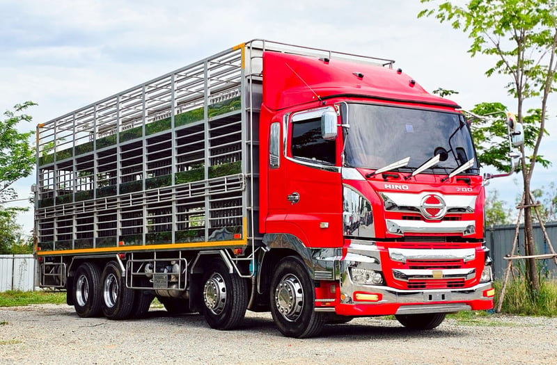 12ล้อคอกหมู HINO  S700 ปี65
