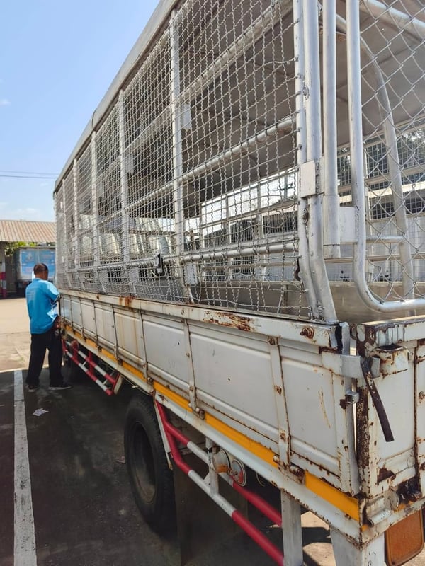 TOYOTA BU141-9001263 รถบรรทุก 6ล้อ รถบรรทุกอื่นๆ ปี1997