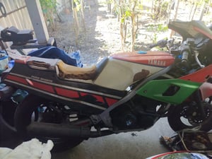 ขายเหมา